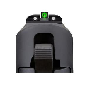 SIG SAUER X-ray Ev Pstl Sgt Grn 8f-8r Rd